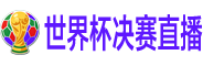 世界杯决赛直播 世界杯决赛直播